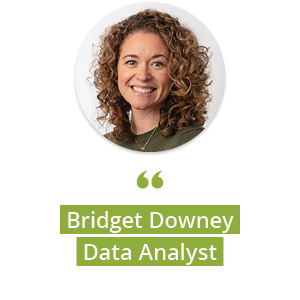 bridget downey, data analyst