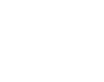 Event attendee icon