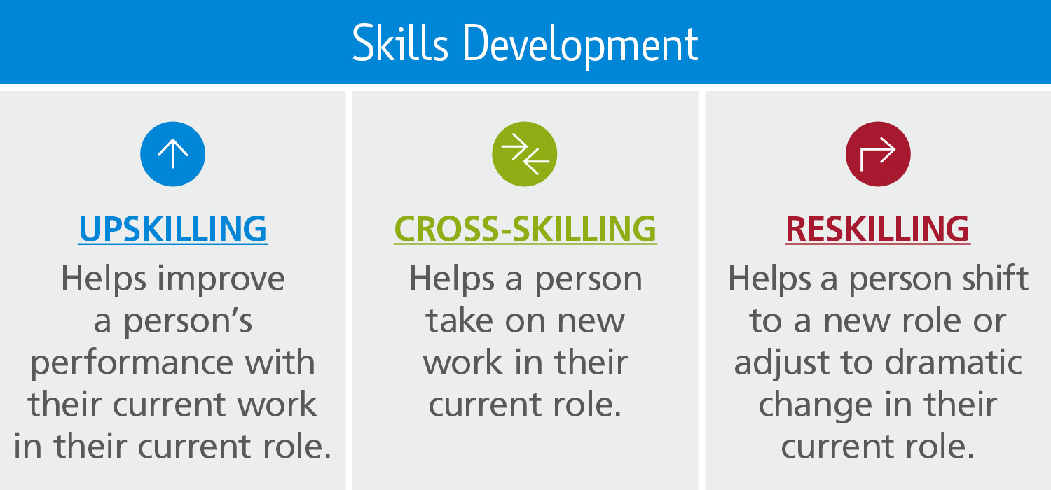 How to Implement Skills Development Training Programs for Employees &  Partners: Upskilling, Cross-Skilling, Reskilling