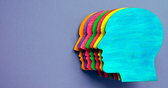 hr professional's guide to DEIB